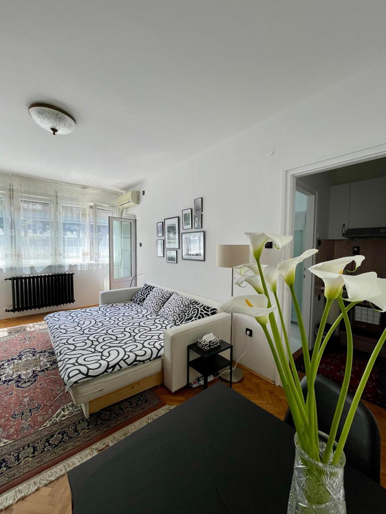 Apartment Mirochka Belgrad Exteriör bild